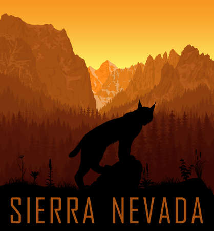 vector Sierra Nevada range mountains with wild lynxのイラスト素材