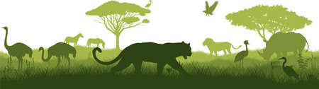 Vector horizontal seamless tropical african savannah with leopard, zebra, rhinoceros, heron, eagle, ibis, ostrich, lion and crowned craneのイラスト素材