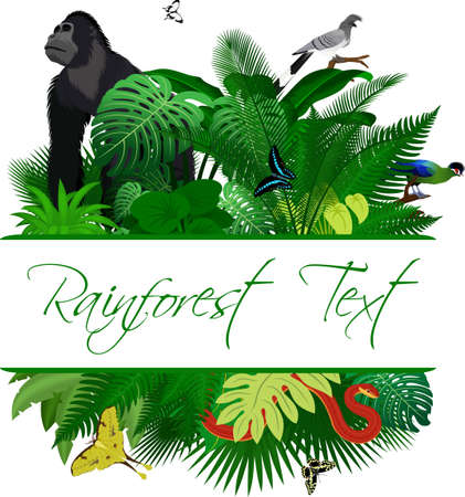 Jungle Rainforest Summer Tropical Leaves Wildlife Vector Design with gorilla, moon moth, turaco, Hartlaub's turaco and red spitting cobraのイラスト素材