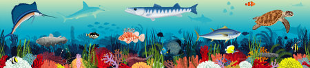 Underwater scene with fish and marine animals. Cartoon vector illustration.の写真素材