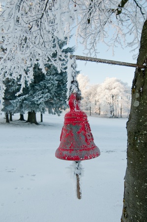 Frozen red bell on Erskine golf course, Scotland, December 2011の写真素材