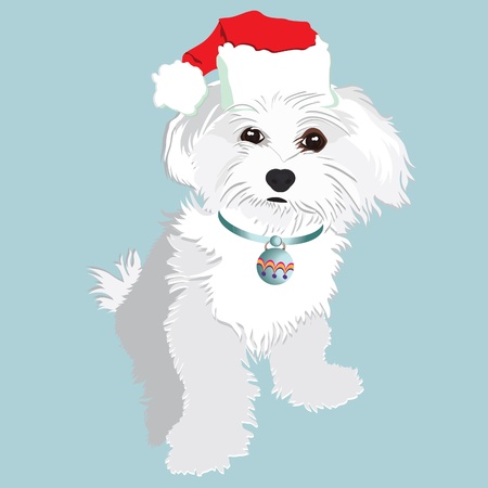 Cute christmas puppy