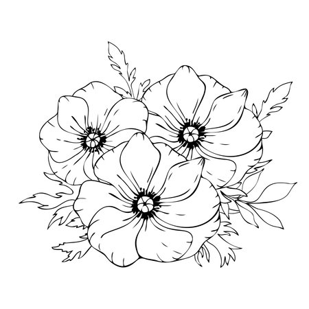 Vector black and white floral composition, bouquet of hand drawn anemone flowers, leaves.のイラスト素材