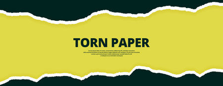 Torn ripped paper two layers Wattle color background banner designのイラスト素材