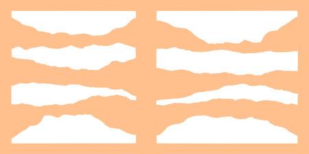 Paper torn sheets set or collection ripped newspaper sheet, edge and strips vector illustrationのイラスト素材