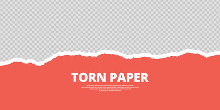 Red torn paper on transparent background vector fileのイラスト素材