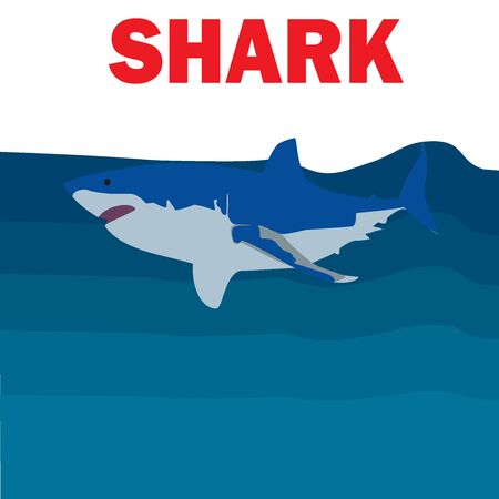 blue sharks of underwater vector illustration set for printing, t-shirts, poster designのイラスト素材