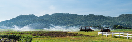 There was water spraying to feed the corn farm found beside highway to Saraburi Province, Thailandの写真素材