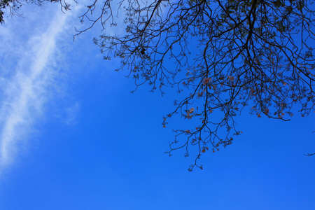 thailandの写真素材