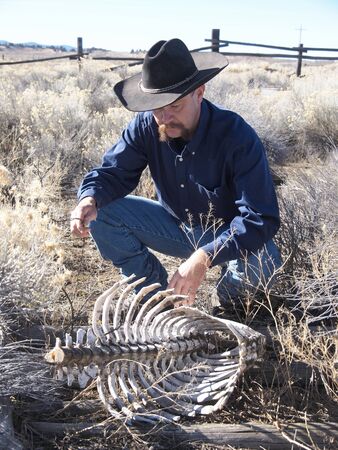A cowboy inspects animal bones on a ranch in Fort Rock in Southern Oregon on a winter day.の写真素材