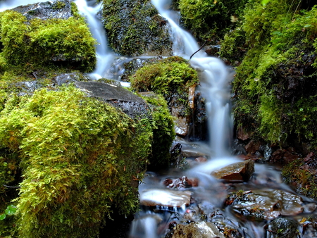 Smooth flowing Proxy Falls on the Old Mckenzie Highway in Western Oregon's Cascade Mountains running...