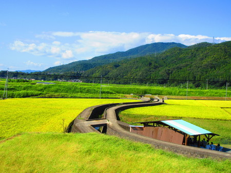Green fieldの写真素材