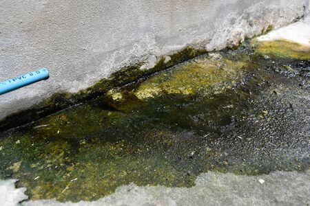 Moss stains on floor.Dirty Moss is caused by the air drain of the air conditioner.の写真素材