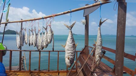 Fishermen lifestyle.Dry the fish for preservationの写真素材