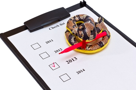 checklis on the clipboard with a toy snake and a red felt-tip pen