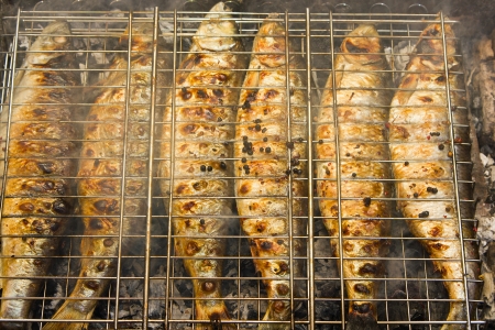 Fresh whole fish being grilled on a barbecue over open flamesの写真素材