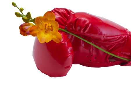 A red boxing glove and a flowerの写真素材
