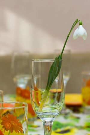 snowdrop flower in a glass with a blurred backgroundの写真素材