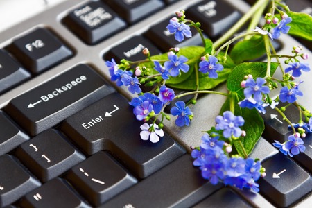 blue flowers lie on a computer keyboard