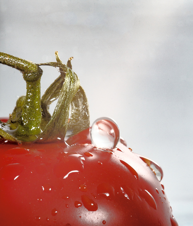 a drop of water drops on a tomatoの写真素材