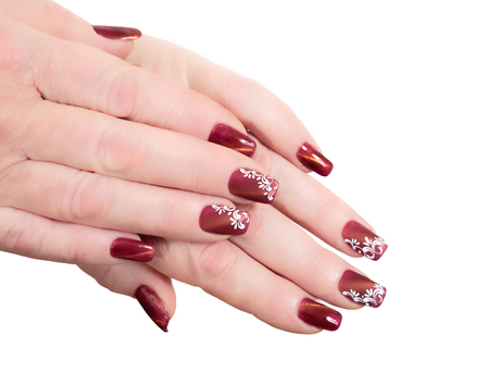 Female hands with manicure on a white backgroundの写真素材