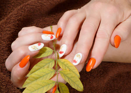 Female hands with manicure and with autumn leavesの写真素材