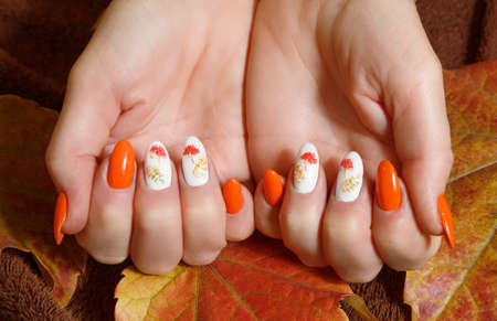 Female hands with manicure and with autumn leavesの写真素材