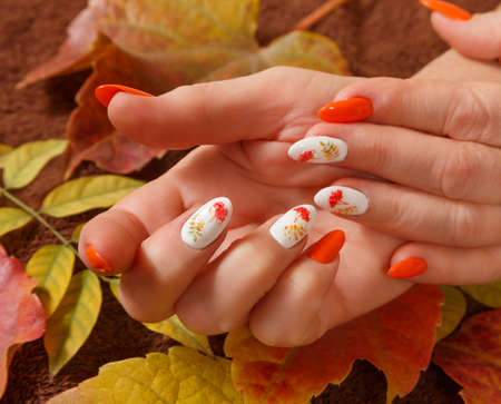 Female hands with manicure and with autumn leavesの写真素材