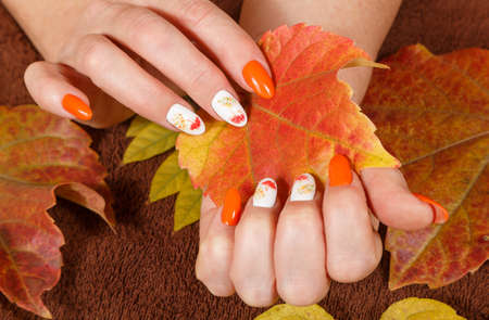 Female hands with manicure and with autumn leavesの写真素材