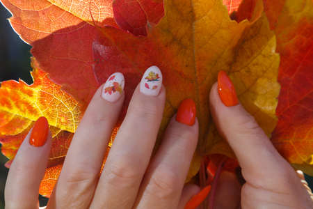 Female hands with manicure and with autumn leavesの写真素材