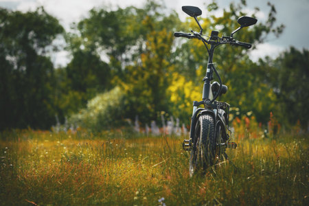 The bicycle stands in a clearing in the middle of the forest