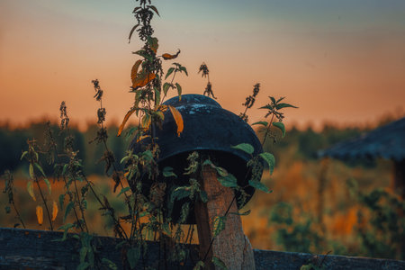 A rusty vintage cast-iron pot sits on a wooden post among tall grass, lit by warm sunset light, evoking rural household life and nostalgic past decades.の写真素材