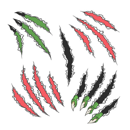 Claws scratches. Set on a white background.のイラスト素材