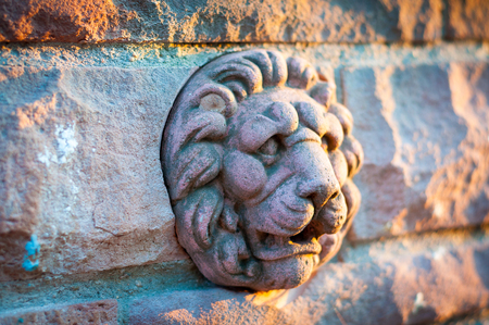 stone lionの写真素材