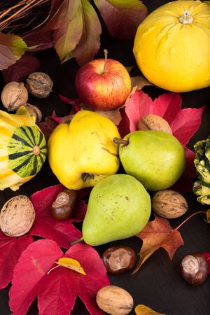 Apples and pears among several pumpkins and autumn leaves on dark table background for decoration...