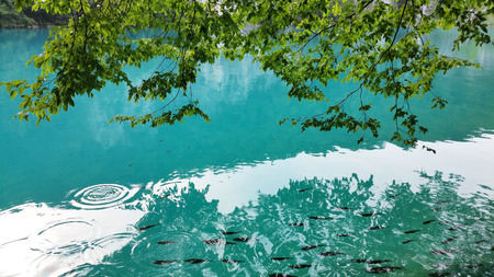 Beautiful landscape in the Plitvice Lakes National Park in Croatiaのeditorial素材