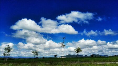 The bright skyの素材