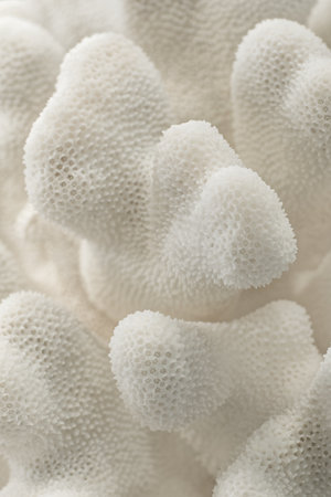 Decorative white coral texture, close-up shot, selective focus, abstract natural sea life backgroundの写真素材