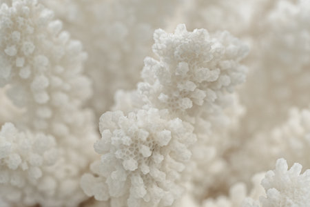 Decorative white coral branch texture, close-up shot, selective focus, abstract natural sea life backgroundの写真素材