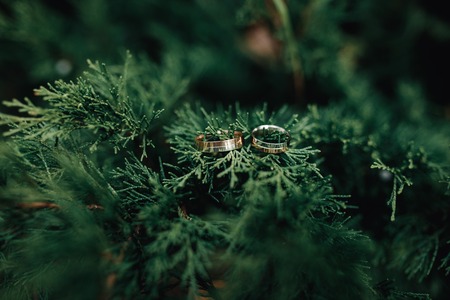 Two Golden Wedding Rings. Bride and Groom. Love concept.の写真素材