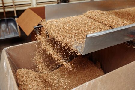 Photo of process in tobbacco factory for cigarette industry.の写真素材