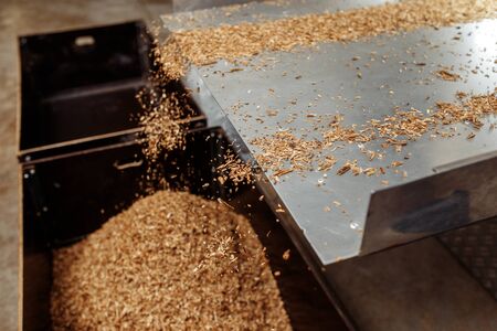 Photo of process in tobbacco factory for cigarette industry.の写真素材