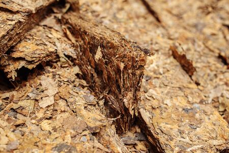 Photo of cutted dry tobacco leaves in cloth sack for cigarette industry.