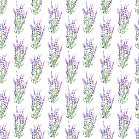 Floral seamless pattern with lavender painted with watercolors on a white backgroundの写真素材