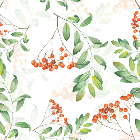Seamless pattern of rowan painted in watercolor on a white backgroundの写真素材