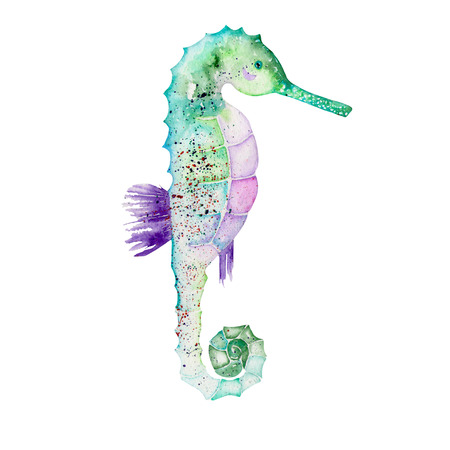 Illustration of isolated green seahorse painted in watercolor on a white backgroundの写真素材