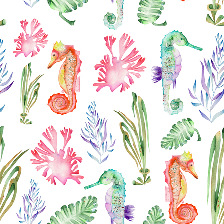 Seamless pattern with multicolored seahorses and seaweed algae painted in watercolor on a white backgroundの写真素材