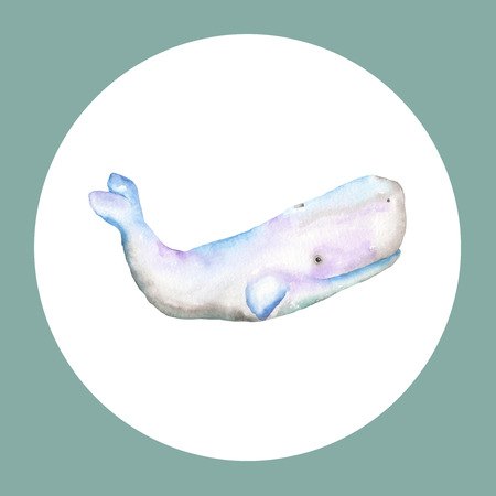 Watercolor illustration of a whale on a white background in the circleの写真素材