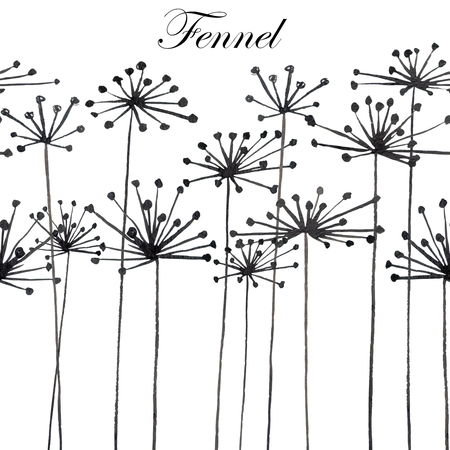 Illustration with black silhouette of fennel painted in watercolor on white background, postcard or decorの写真素材