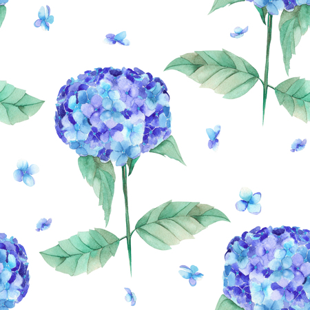 A seamless pattern of the beautiful watercolor blue Hydrangea flowers, painted on a white backgroundの写真素材